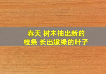 春天 树木抽出新的枝条 长出嫩绿的叶子